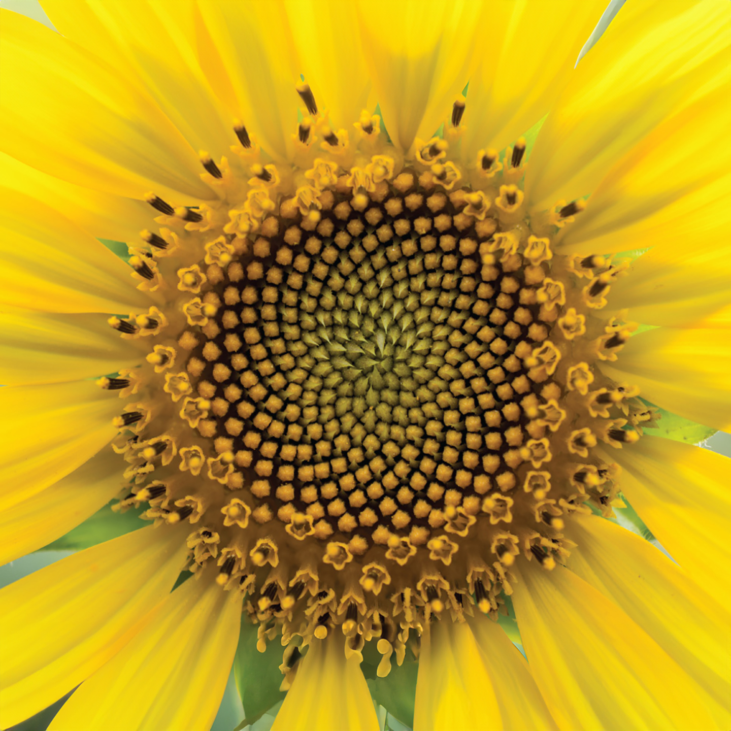 Alt image 2 Alt image 2