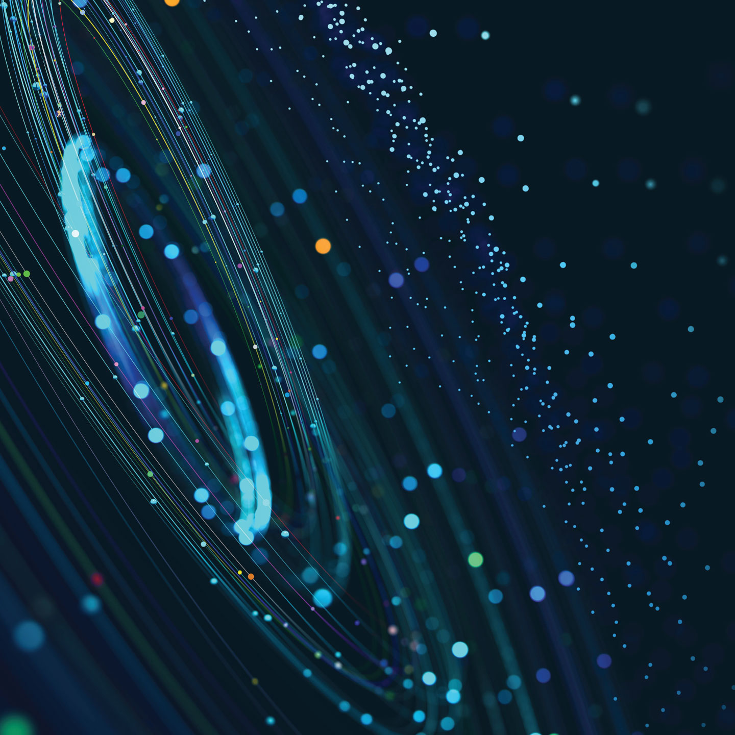 test image test image